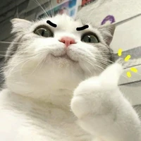 อิแอด