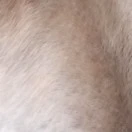 unknown 1