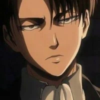 Levi