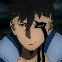 kawki
