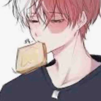 ❄️Todoroki🔥
