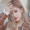 Park rose
