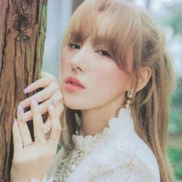 son seung wan/wendy