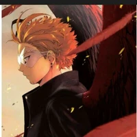 hawks