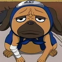 pakkun