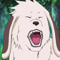 akamaru