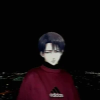 Levi