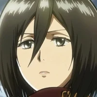 Mikasa