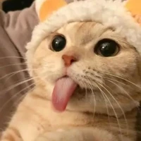 แอด