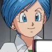 Bulma