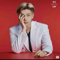 Kim Namjoon (RM)