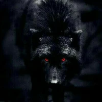 isac (lobo)