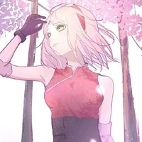 Sakura