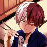 todoroki >\\\<