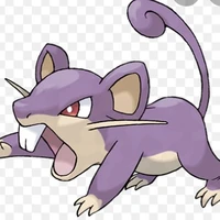 Rattata