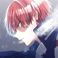 Shoto Todoroki