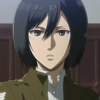 mikasa
