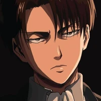 levi