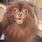 Kuma