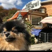 Yeontan