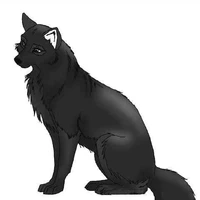 F.L dog-Fluffy