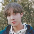 hobi