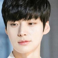 เฉิงชู่