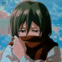mikasa