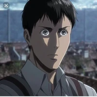 bertoldht