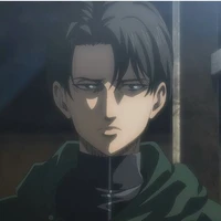 levi