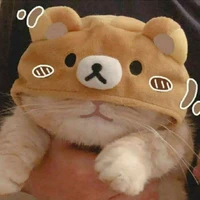 juki si kucing