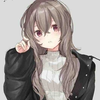 Y/N
