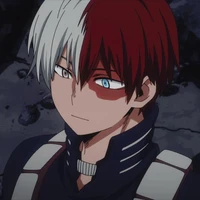SHOTO TODOROKI