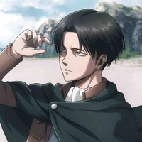 Levi
