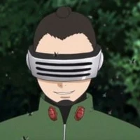 Shino sensei