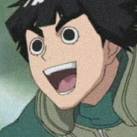rook lee