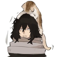 Sleepy Cat lover 🐈