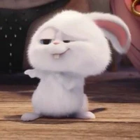 HOLY BUNNY