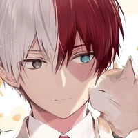 shoto todoroki
