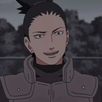 Shikamaru"alfa dm"