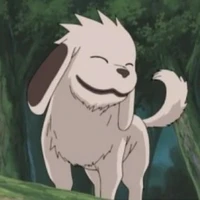 akamaru