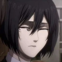 mikasa
