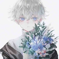 ✨✨AUTHOR✨✨