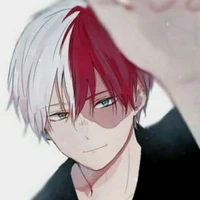 Todoroki