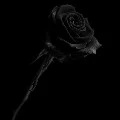 ALL