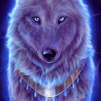 Karla{Queen of Wolves&Kai’s Pet}