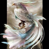 Noah{King of Birds&Kai’s Pet}