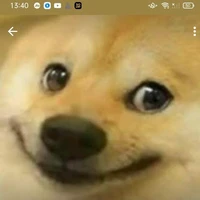 ANIME DOGGE