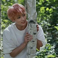 Kookie