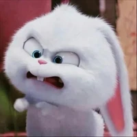 AYU ( BUNNY 🐰)